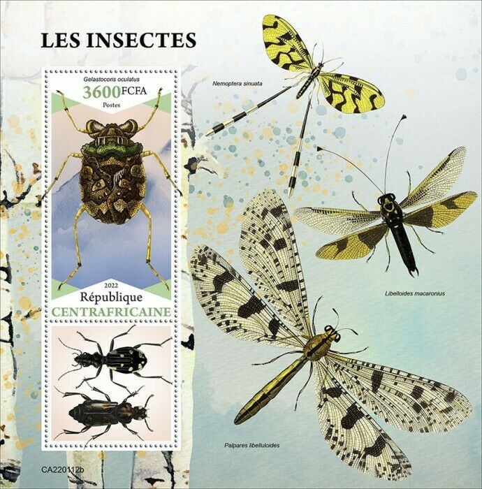 Central African Rep 2022 MNH Insects Stamps Beetles Toad Bugs 1v S/S