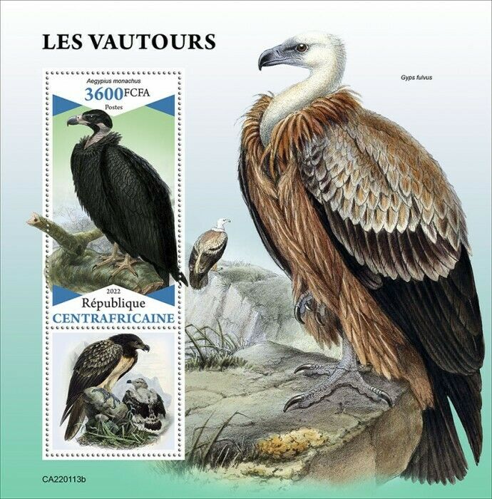 Central African Rep 2022 MNH Birds of Prey on Stamps Vultures Vulture 1v S/S
