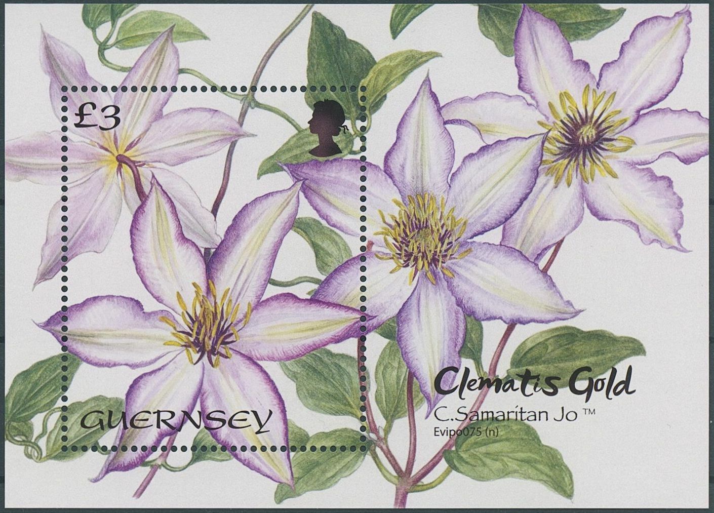 Guernsey 2022 MNH Flowers Stamps Clematis Gold Flora Nature 1v M/S