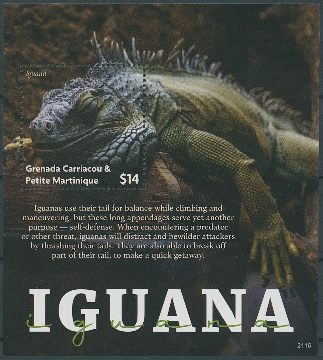 Grenadines Grenada 2021 MNH Reptiles Stamps Lizards Iguanas Iguana 1v S/S