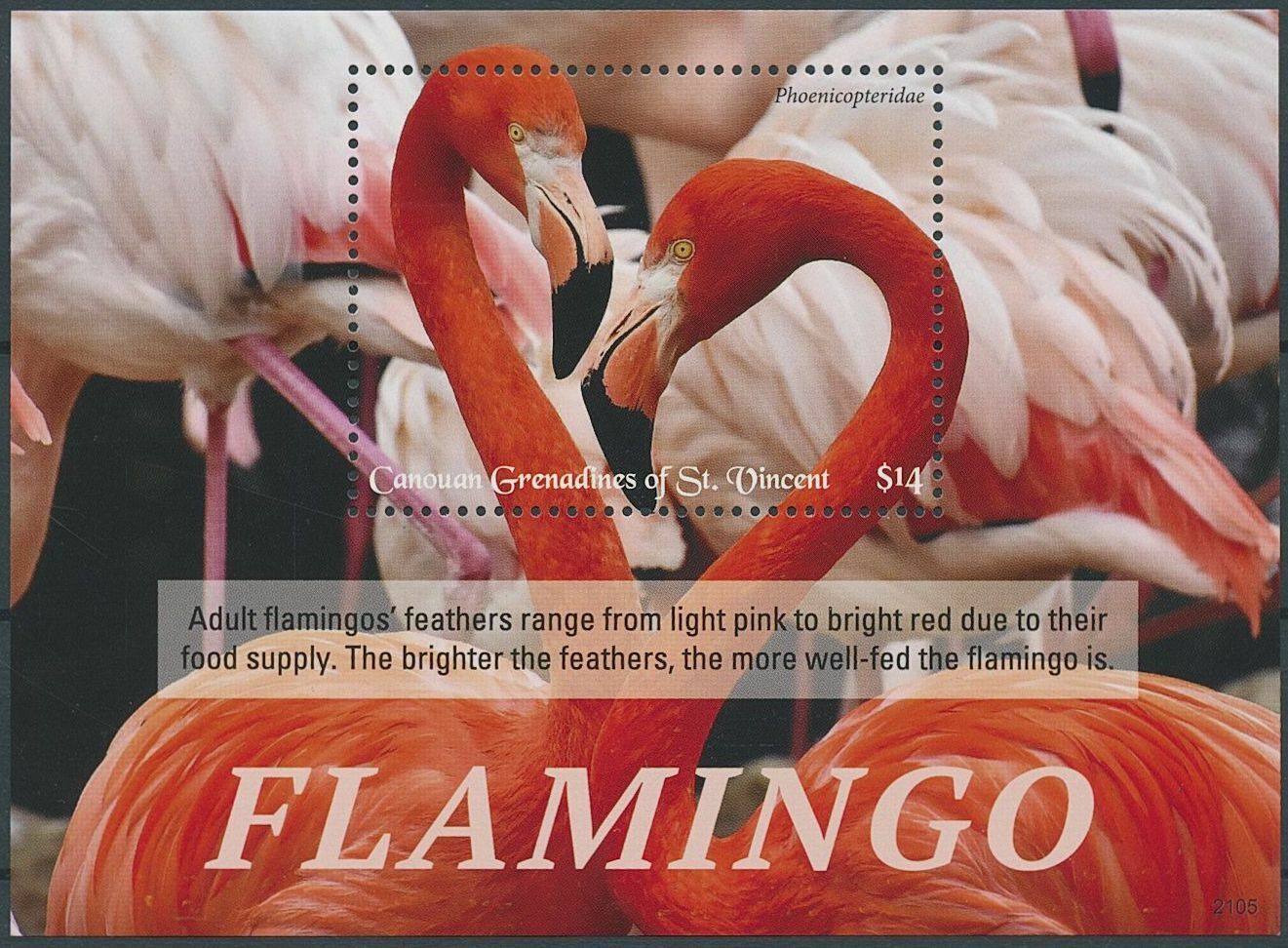 Canouan Gren St Vincent 2021 MNH Birds on Stamps Flamingos Flamingo 1v S/S