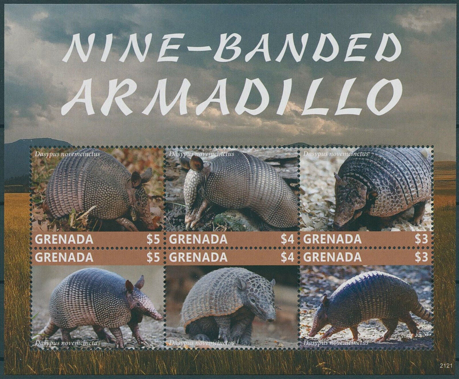 Grenada 2021 MNH Wild Animals Stamps Nine-Banded Armadillo Armadillos 6v M/S