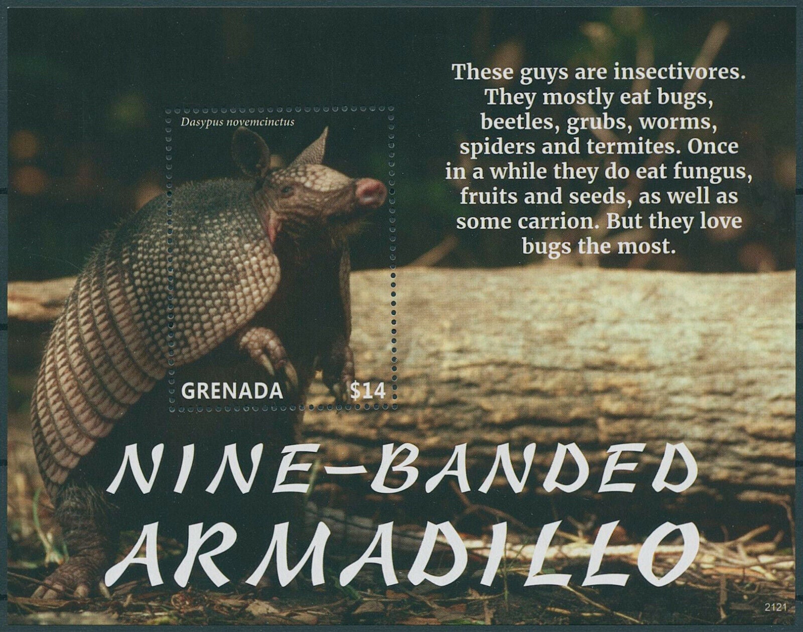 Grenada 2021 MNH Wild Animals Stamps Nine-Banded Armadillo Armadillos 1v S/S