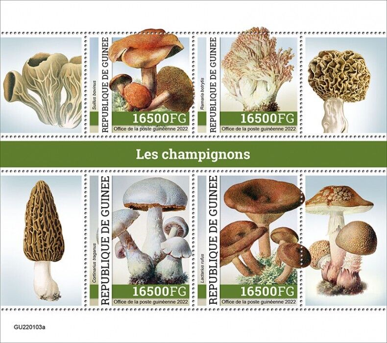 Guinea 2022 MNH Mushrooms Stamps Fungi Lactarius Mushroom Nature 4v M/S