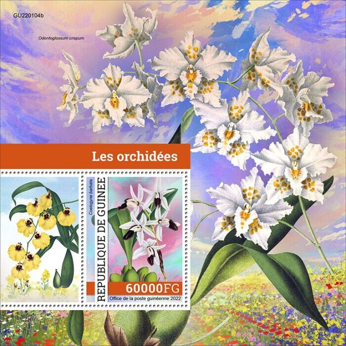 Guinea 2022 MNH Flowers Stamps Orchids Coelogyne Orchid Flora Nature 1v S/S