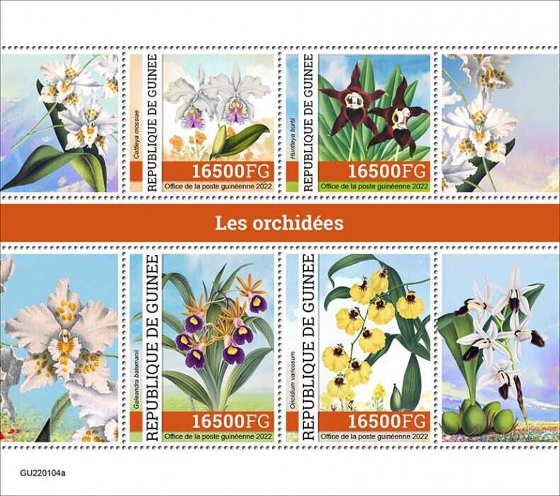 Guinea 2022 MNH Flowers Stamps Orchids Oncidium Orchid Flora Nature 4v M/S