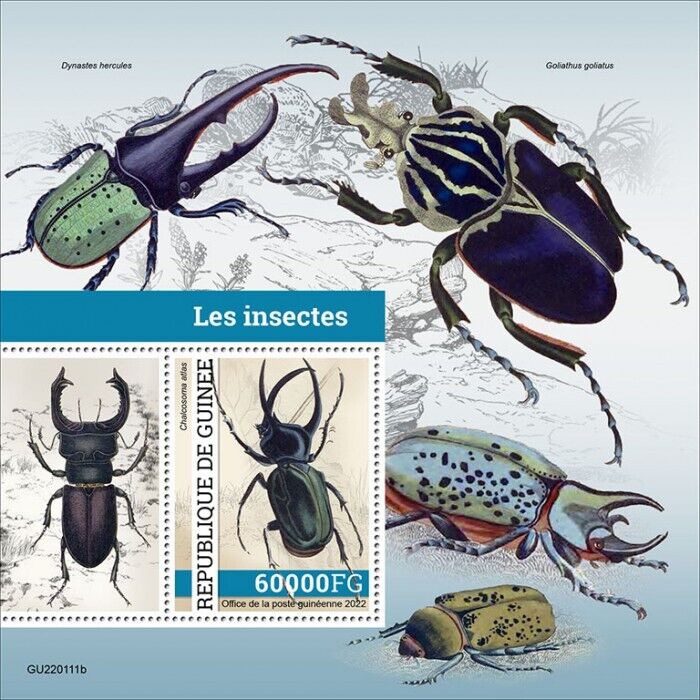 Guinea 2022 MNH Insects Stamps Beetles Atlas Beetle 1v S/S