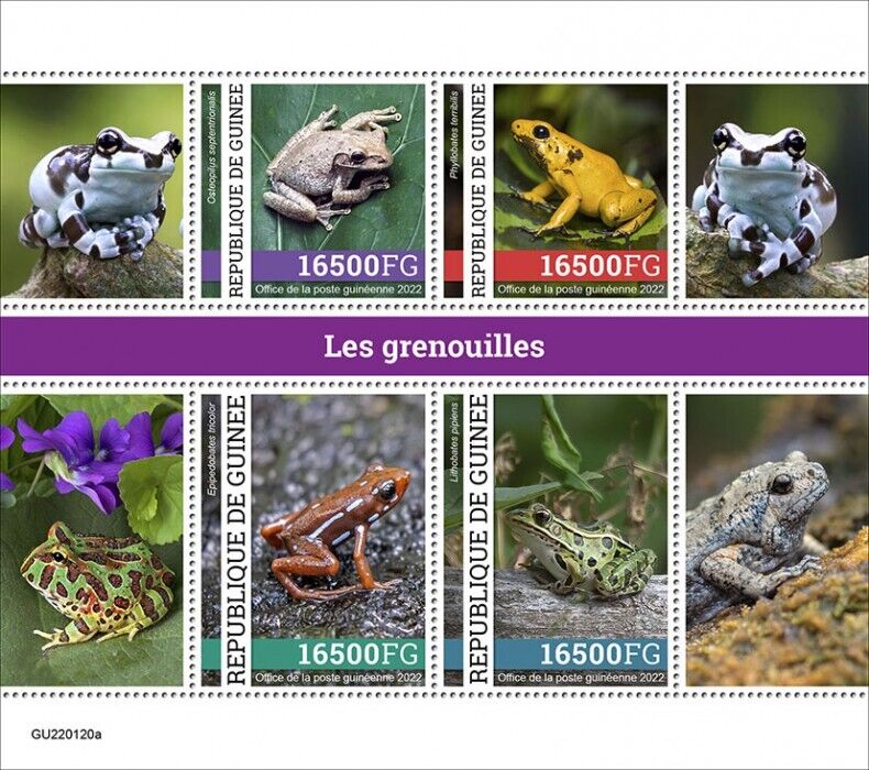 Guinea 2022 MNH Frogs Stamps Golden Poison Frog Amphibians 4v M/S