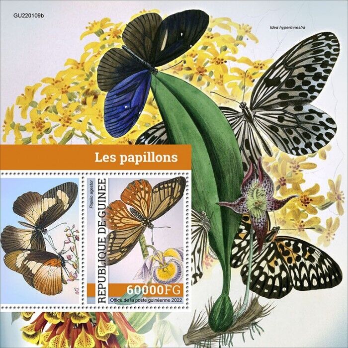 Guinea 2022 MNH Butterflies Stamps Papilio Swallowtail Butterfly 1v S/S