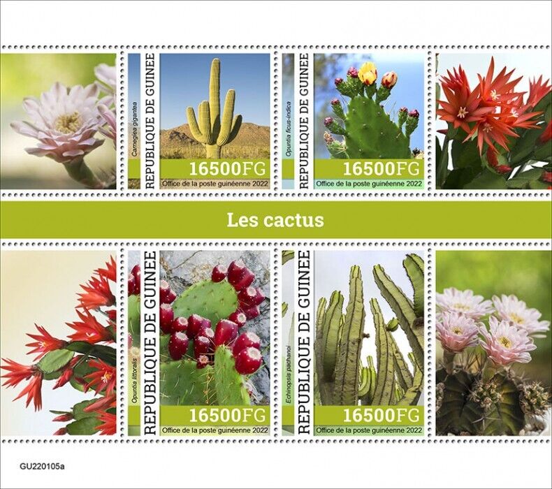 Guinea 2022 MNH Plants Stamps Cactus Opuntia Flowers Nature 4v M/S