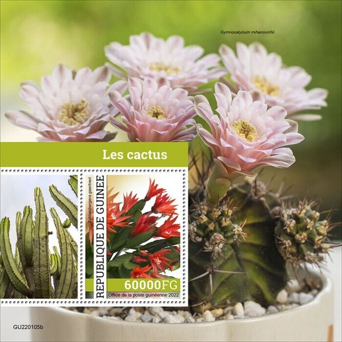 Guinea 2022 MNH Plants Stamps Cactus Schlumbergera Flowers Nature 1v S/S