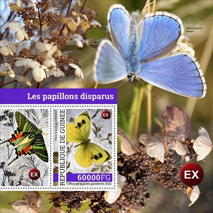 Guinea 2022 MNH Butterfly Stamps Extinct Butterflies 1v S/S