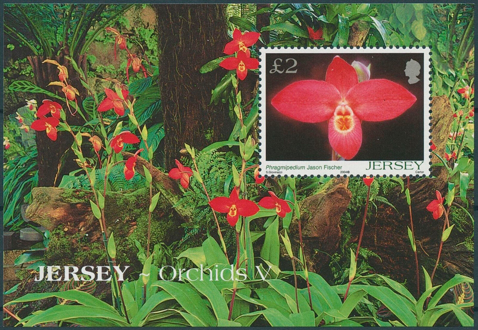 Jersey 2004 MNH Flowers Stamps Orchids 5th Series Phragmipedium Orchid 1v M/S