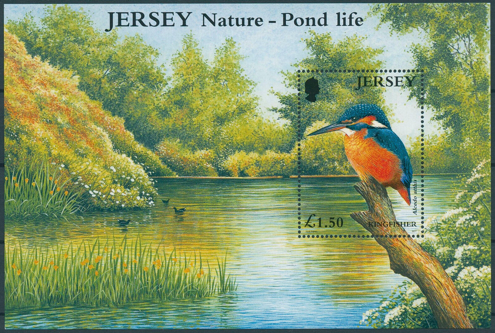 Jersey 2001 MNH Birds on Stamps Kingfishers Common Kingfisher Pond Life 1v M/S