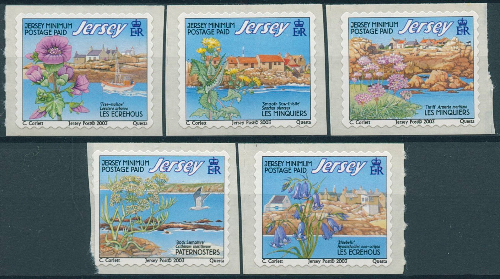 Jersey 2003 MNH Flowers Stamps Offshore Reefs Architecture Flora 5v S/A Set