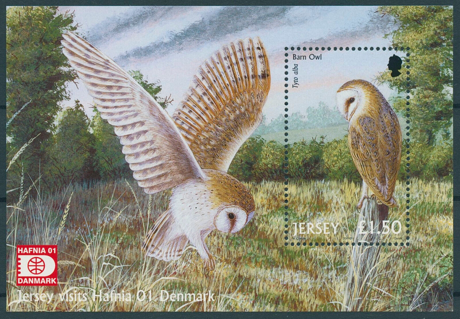 Jersey 2001 MNH Birds of Prey on Stamps Owls Barn Owl Hafnia 01 Denmark 1v M/S