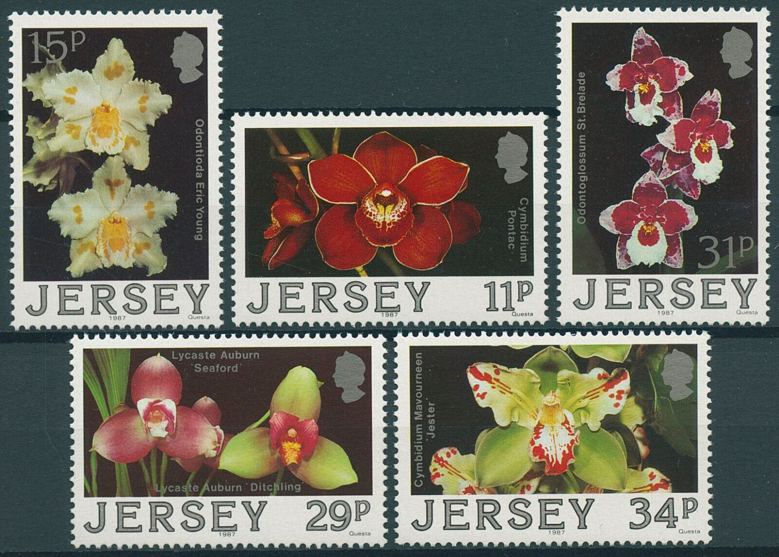 Jersey 1987 MNH Flowers Stamps Orchids Cymbidium Orchid Flora Nature 5v Set