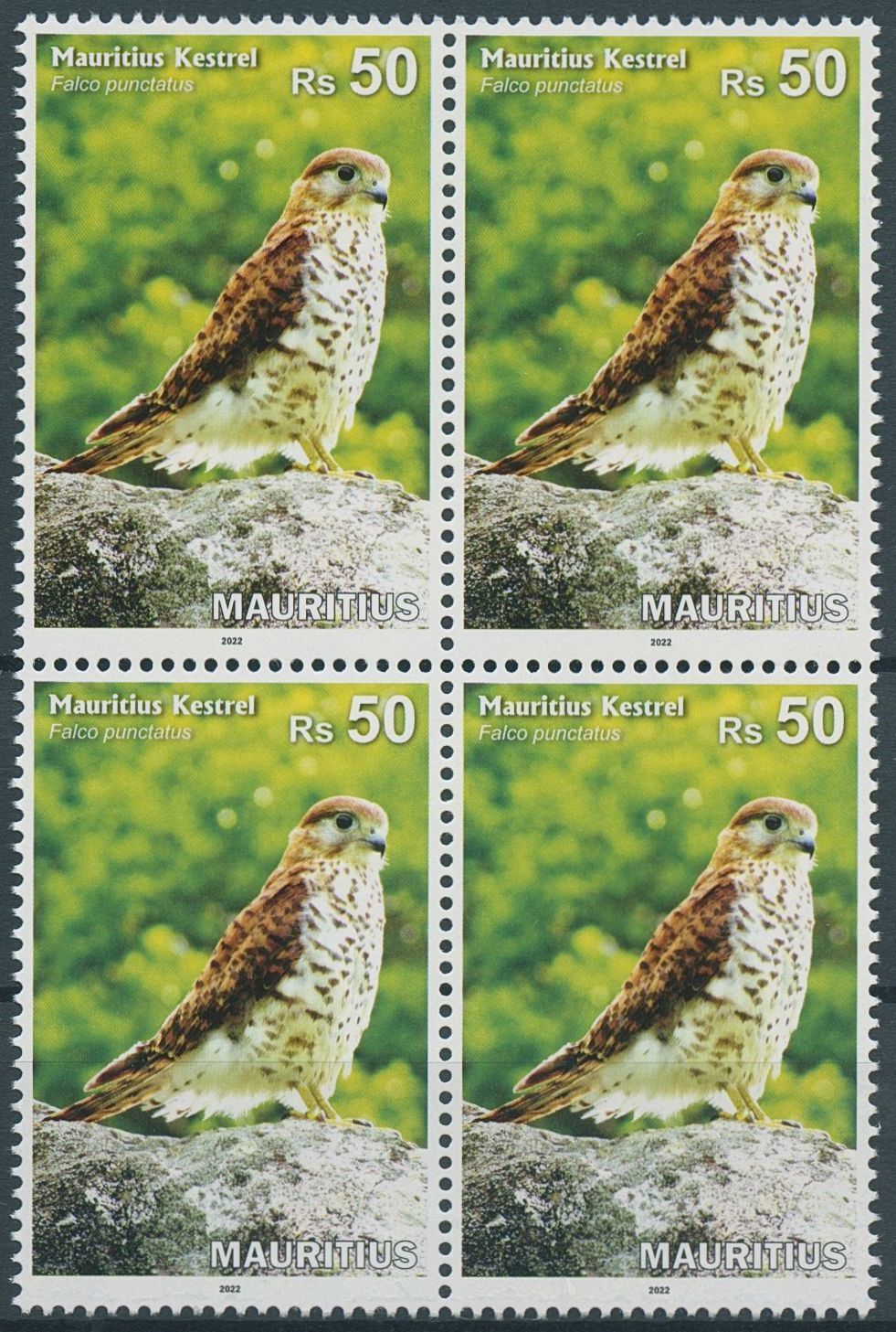 Mauritius 2022 MNH Birds on Stamps Kestrel National Bird Raptors 4v Block
