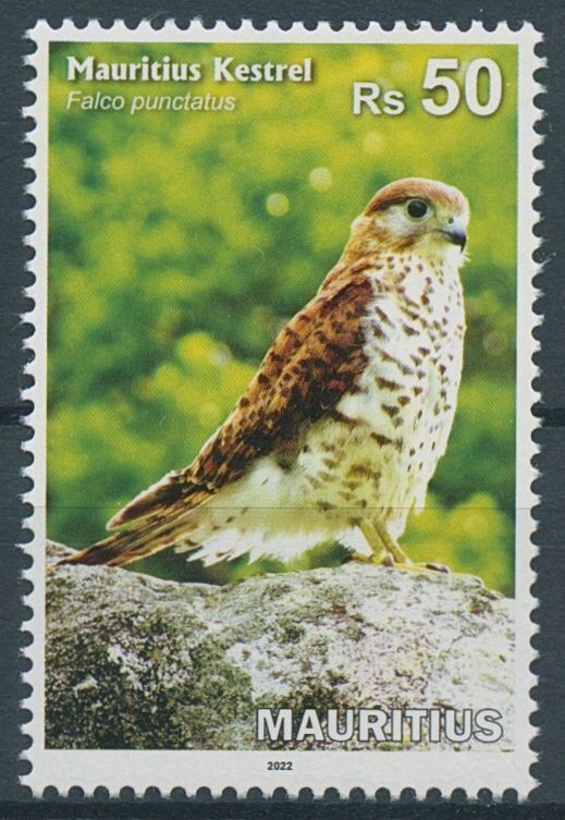 Mauritius 2022 MNH Birds on Stamps Kestrel National Bird Raptors 1v Set
