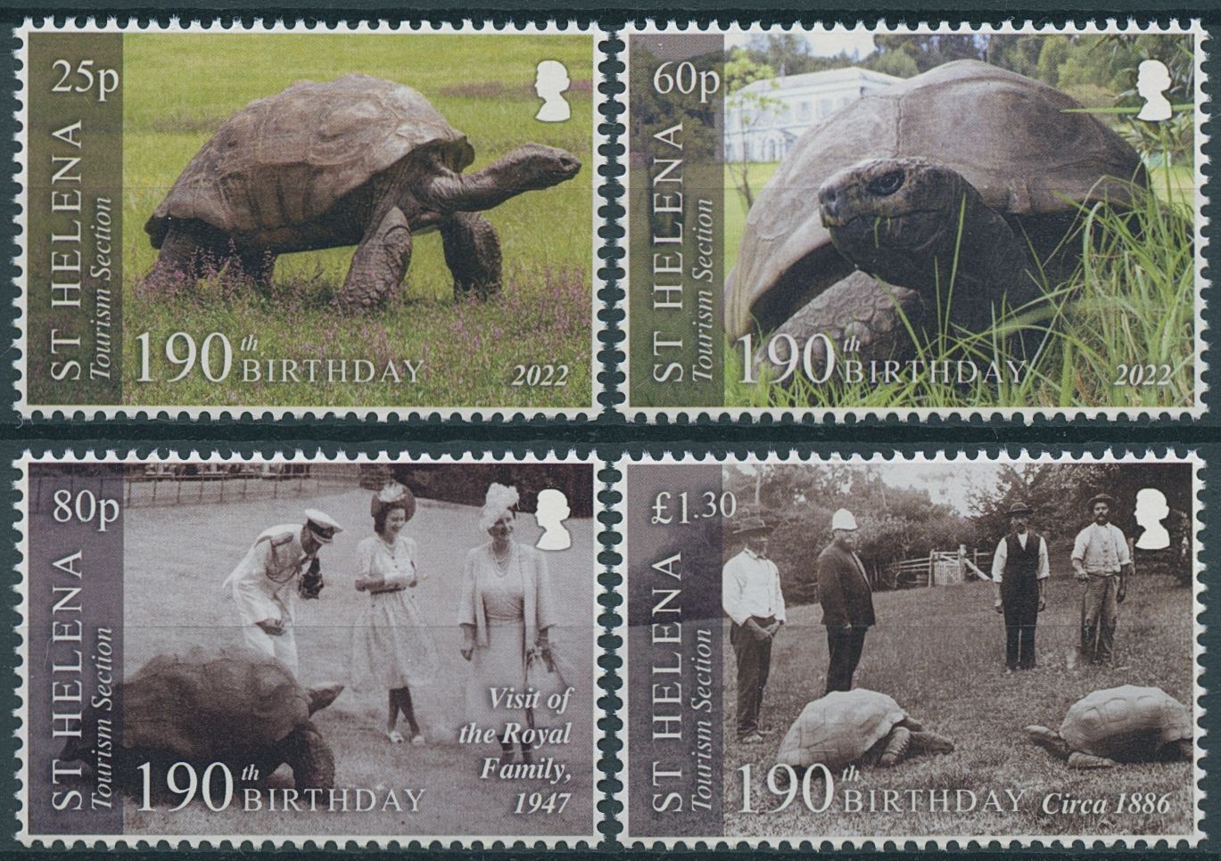 St Helena 2022 MNH Turtles Stamps Johathan Tortoise Oldest Land Animal 4v Set