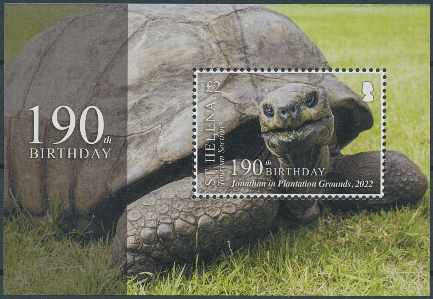 St Helena 2022 MNH Turtles Stamps Johathan Tortoise Oldest Land Animal 1v M/S