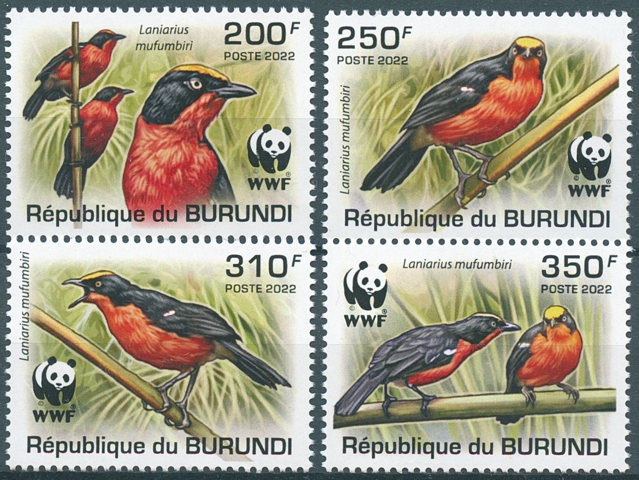 Burundi 2022 MNH Birds on Stamps Papyrus Gonolek WWF 4v Set