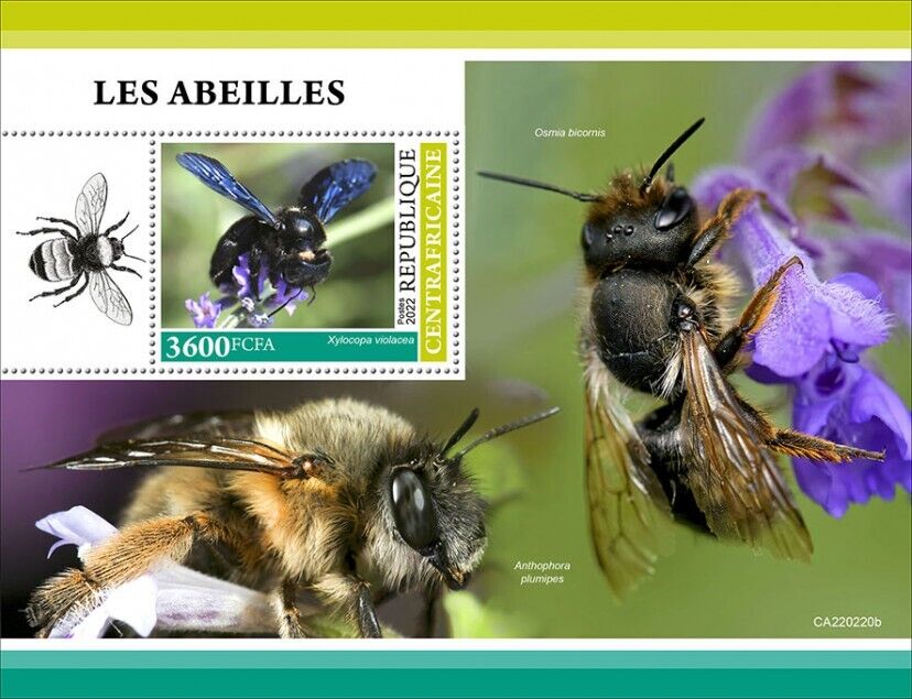 Central African Rep 2022 MNH Bees Stamps Violet Carpenter Bee Insects 1v S/S