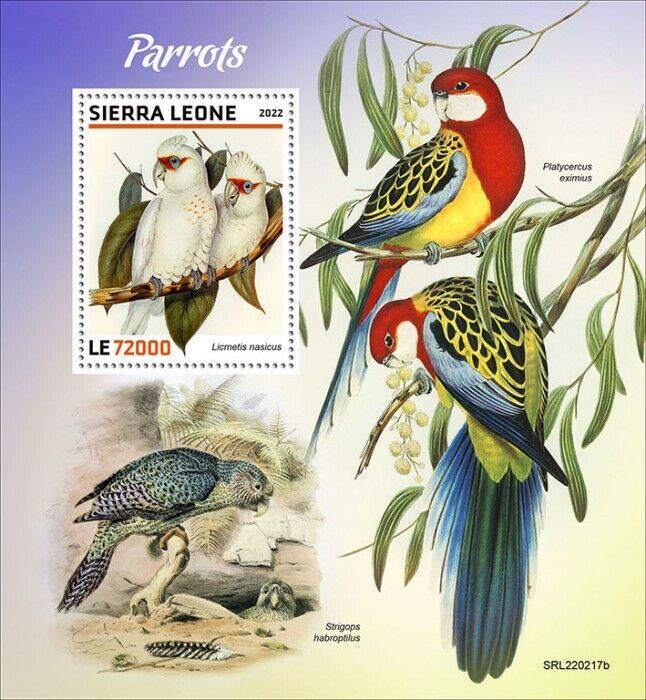 Sierra Leone 2022 MNH Birds on Stamps Parrots Long-Billed Cockatoo 1v S/S