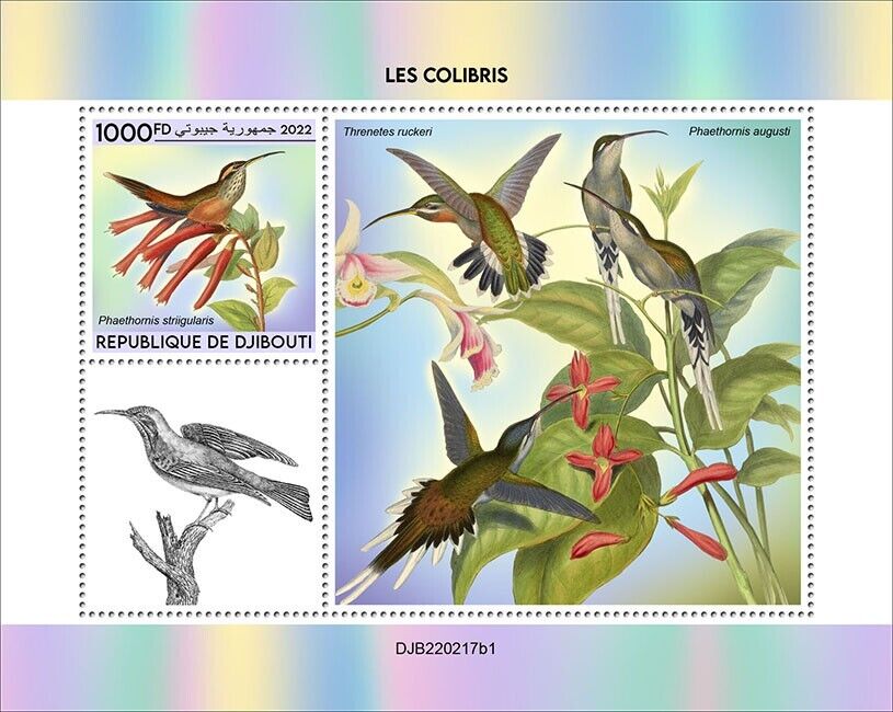 Djibouti 2022 MNH Birds on Stamps Hummingbirds Stripe-Throated Hermit 1v S/S I