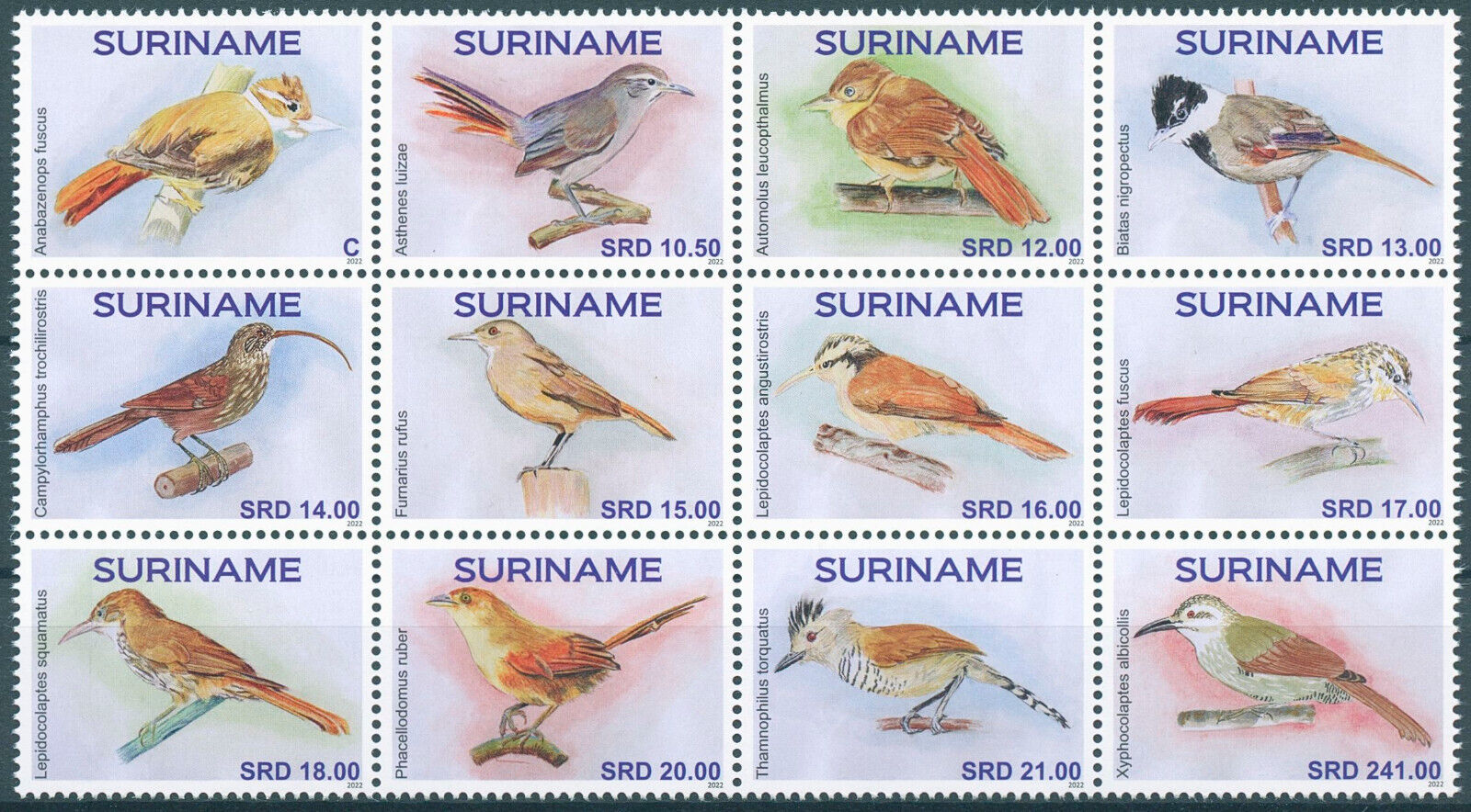 Suriname 2022 MNH Birds on Stamps Antshrike Rufous Hornero Thornbird 12v Block
