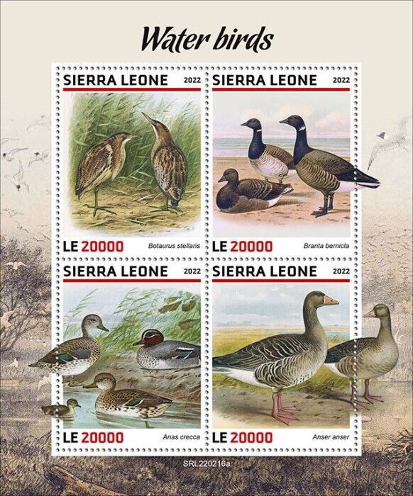 Sierra Leone 2022 MNH Water Birds on Stamps Ducks Geese Bittern Teal 4v M/S