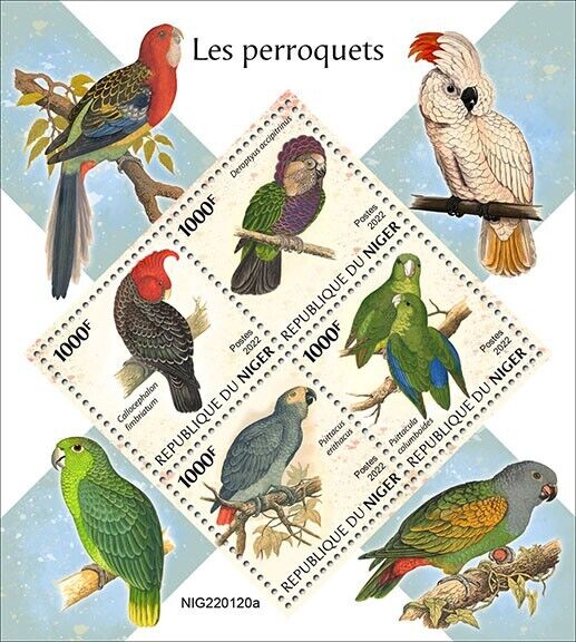 Niger 2022 MNH Birds on Stamps Parrots African Grey Parrot Cockatoo 4v M/S