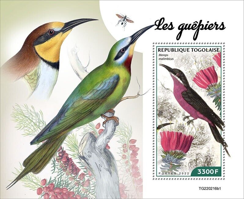 Togo 2022 MNH Birds on Stamps Bee-Eaters Rosy Bee-Eater 1v S/S I
