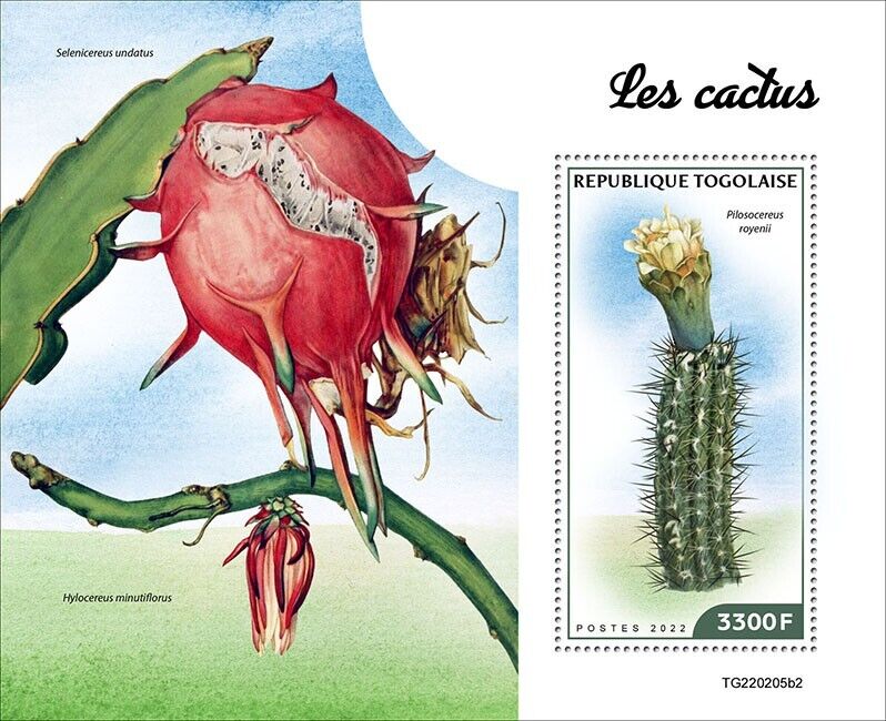 Togo 2022 MNH Flowers Stamps Cactus Cacti Plants Flora Nature 1v S/S II