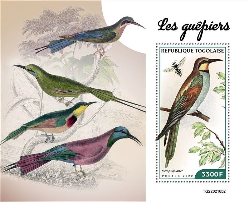 Togo 2022 MNH Birds on Stamps Bee-Eaters Rosy European Bee-Eater 1v S/S II
