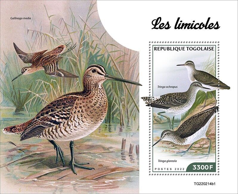 Togo 2022 MNH Birds on Stamps Waders Shorebirds Wood Green Sandpiper 1v S/S I