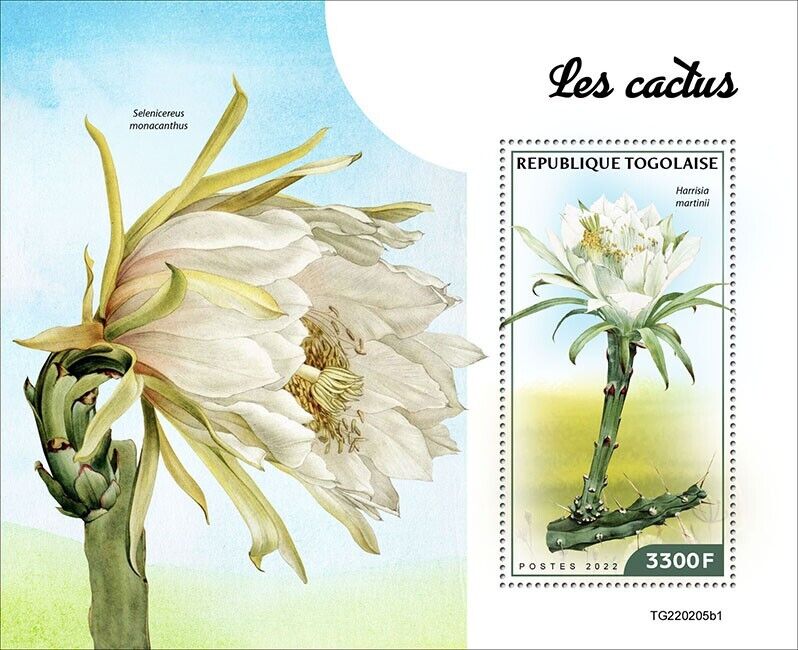 Togo 2022 MNH Flowers Stamps Cactus Cacti Plants Flora Nature 1v S/S I