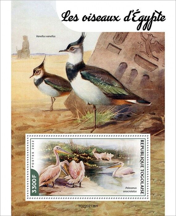Togo 2022 MNH Birds of Egypt on Stamps Pelicans Great White Pelican 1v S/S I