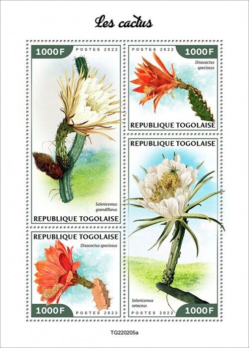 Togo 2022 MNH Flowers Stamps Cactus Cacti Plants Flora Nature 4v M/S