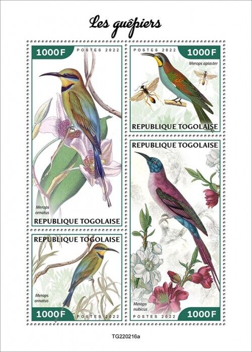 Togo 2022 MNH Birds on Stamps Bee-Eaters Rainbow Bee-Eater 4v M/S