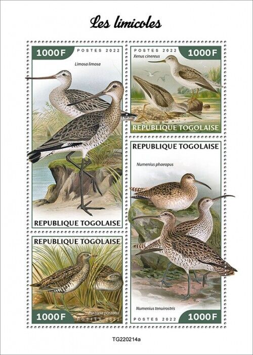 Togo 2022 MNH Birds on Stamps Waders Shorebirds Black-Tailed Godwit 4v M/S