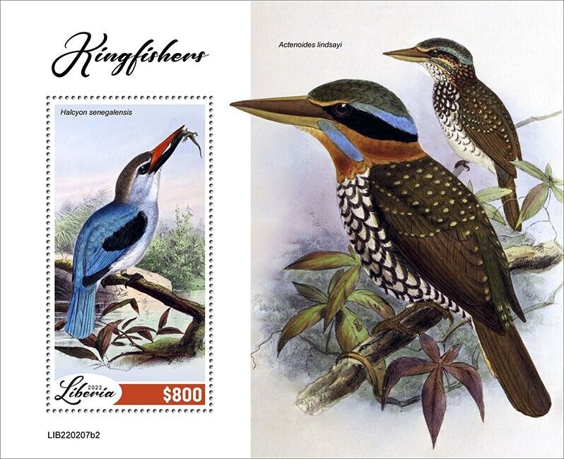 Liberia 2022 MNH Birds on Stamps Kingfishers Woodland Kingfisher 1v S/S II
