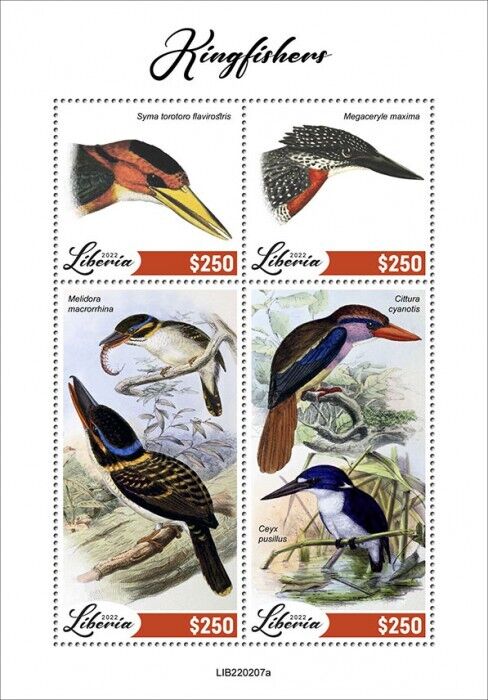 Liberia 2022 MNH Birds on Stamps Kingfishers Giant Kingfisher 4v M/S