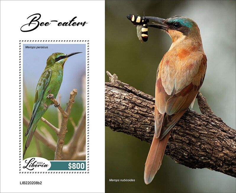 Liberia 2022 MNH Birds on Stamps Bee-Eaters Blue-Cheeked Bee-Eater 1v S/S II