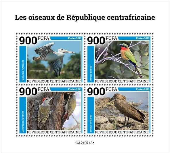 Central African Rep 2021 MNH Birds on Stamps Pelicans Woodpeckers 4v M/S
