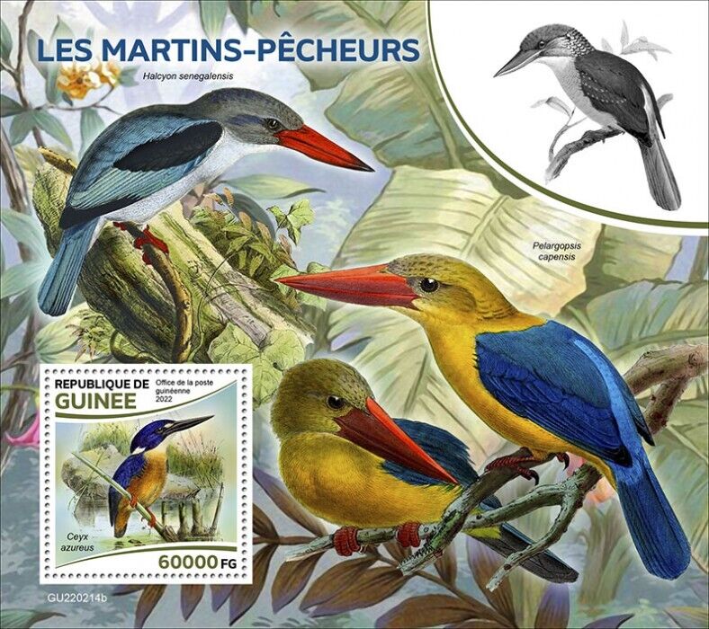 Guinea 2022 MNH Birds on Stamps Kingfishers Azure Kingfisher 1v S/S