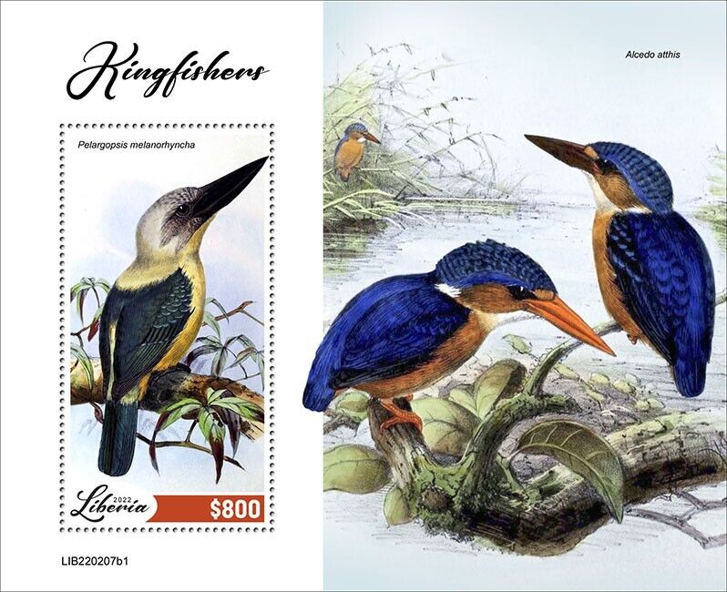 Liberia 2022 MNH Birds on Stamps Kingfishers Great-Billed Kingfisher 1v S/S I