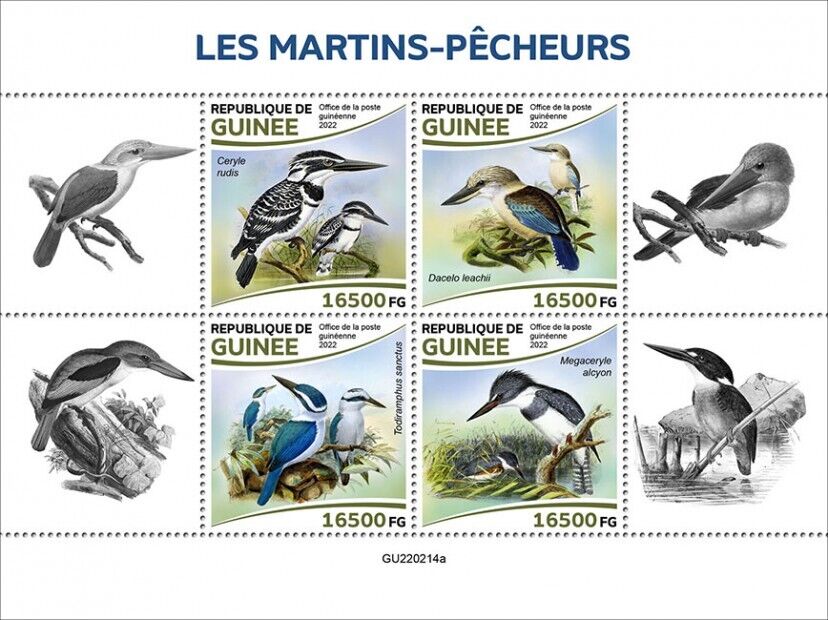 Guinea 2022 MNH Birds on Stamps Kingfishers Pied Kingfisher 4v M/S
