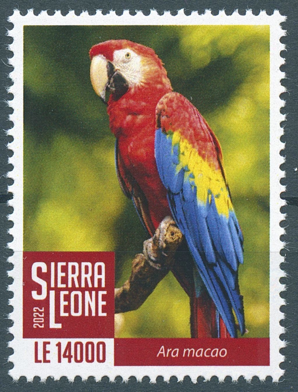 Sierra Leone 2022 MNH Birds on Stamps Scarlet Macaws Parrots 1v Set