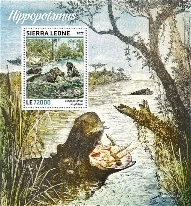Sierra Leone 2022 MNH Wild Animals Stamps Hippopotamus Hippos 1v S/S